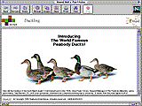 peabody orlando wold famous ducks